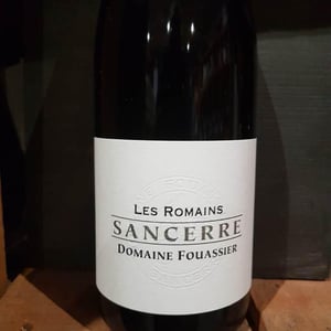 Les Romains - Domaine Fouassier - benoit-paul-fouassier