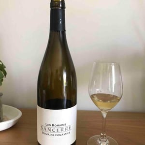Les Romains - Domaine Fouassier - benoit-paul-fouassier