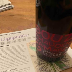 Les Rougeots Du Clos - Vins de la Madone - gilles-bonnefoy