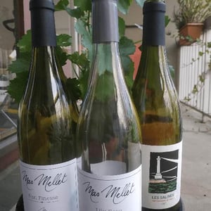 Les Salines - Mas Mellet - emilie-brice-bolognini