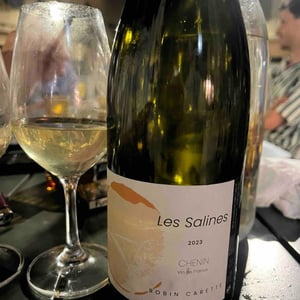 Robin Carette - Robin Carette - Les Salines