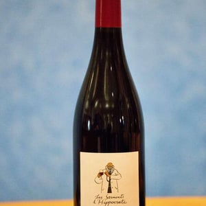 Les Sarments D’Hippocrate - Le Clos des Saumanes - Martine Et Robert Janer -2021
