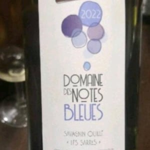 Les Sarres Savagnin ouillé - Domaines des notes bleues - cedric-mottet -2022