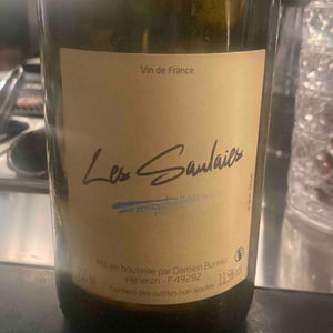 Les Saulaies - Damien Bureau - Damien Bureau -2022