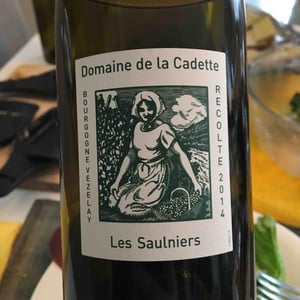 Domaine de La Soeur Cadette - Jean & Valentin Montanet - Les Saulniers