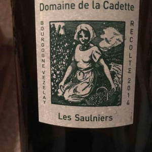 Les Saulniers - Domaine de La Soeur Cadette - Jean & Valentin Montanet 