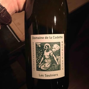 Les Saulniers - Domaine de La Soeur Cadette - Jean & Valentin Montanet 