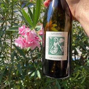 Les Saulniers - Domaine de La Soeur Cadette - jean-valentin-montanet