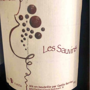 Les Sauvins - Gaëlle Berriau - Gaëlle Berriau 