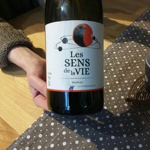 Les Sens De La Vie 2017