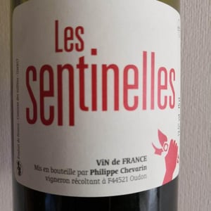 Les Sentinelles - Philippe Chevarin - philippe-chevarin