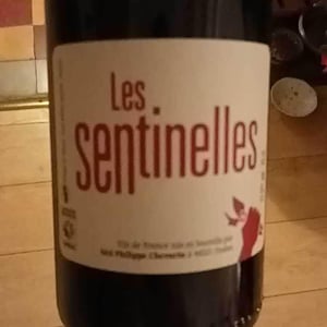 Les Sentinelles - Philippe Chevarin - Philippe Chevarin 