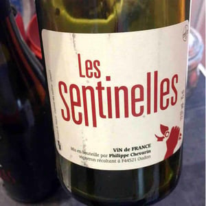 Les Sentinelles - Philippe Chevarin - philippe-chevarin