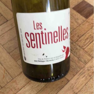 Les Sentinelles - Philippe Chevarin - Philippe Chevarin 