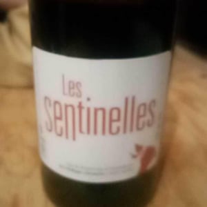 Les Sentinelles - Philippe Chevarin - philippe-chevarin