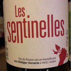 Les Sentinelles - Philippe Chevarin - philippe-chevarin