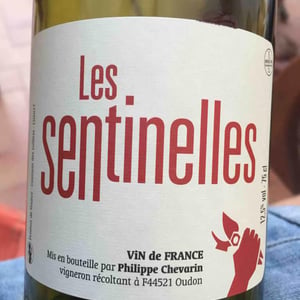 Philippe Chevarin - Philippe Chevarin - Les Sentinelles