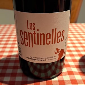 Les Sentinelles - Philippe Chevarin - Philippe Chevarin 