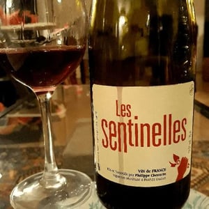 Les Sentinelles - Philippe Chevarin - philippe-chevarin