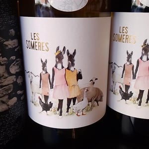 les someres - Clos dels Guarans - jordi-raventos -2021