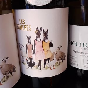 les someres negre - Clos dels Guarans - jordi-raventos