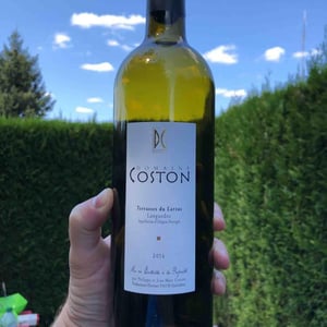 Les Terrasses Du Larzac - Domaine Coston - jean-marc-philippe-coston