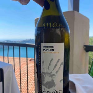 Domaine de la Renardière - Jean-Michel, Laurence et Leo Petit - Les Terrasses