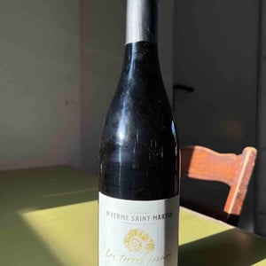 Les Terres Jaunes - La Ferme Saint-Martin - Les Vins de Thomas - sophie-thomas-jullien