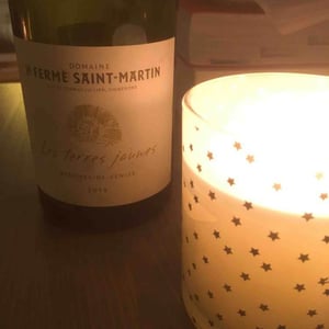 La Ferme Saint-Martin - Les Vins de Thomas - Sophie & Thomas Jullien - Les Terres Jaunes
