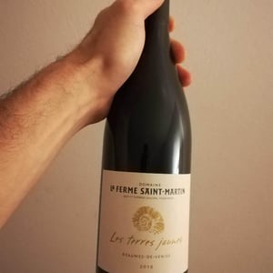 La Ferme Saint-Martin - Les Vins de Thomas - Sophie & Thomas Jullien - Les Terres Jaunes