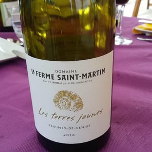 La Ferme Saint-Martin - Les Vins de Thomas - Sophie & Thomas Jullien - Les Terres Jaunes