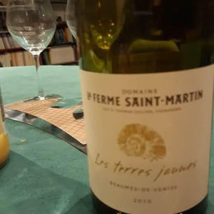 La Ferme Saint-Martin - Les Vins de Thomas - Sophie & Thomas Jullien - Les Terres Jaunes