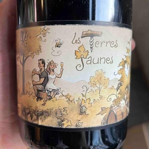 Les Terres Jaunes - Champagne Claude Lemaire - aurelien-lemaire