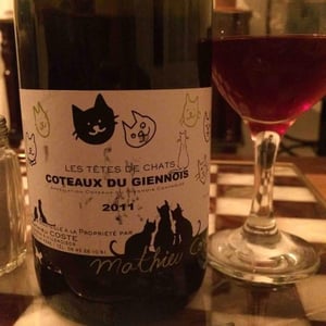 Domaine Bio Coste - Mathieu Coste - Les Têtes de Chat