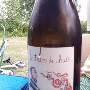 Domaine Bio Coste - Mathieu Coste - Les Têtes de Chat