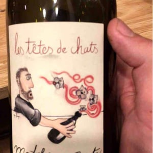 Domaine Bio Coste - Mathieu Coste - Les Têtes de Chat