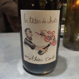 Domaine Bio Coste - Mathieu Coste - Les Têtes de Chat