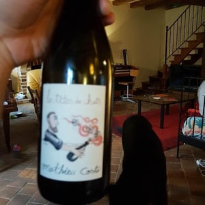 Domaine Bio Coste - Mathieu Coste - Les Têtes de Chat
