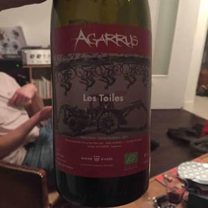 Les Toiles - Agarrus - serge-scherrer