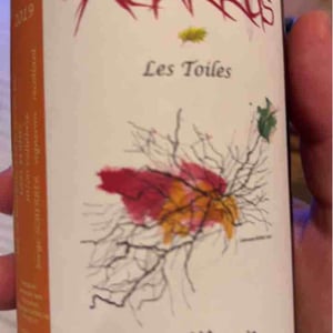 Les Toiles - Agarrus - serge-scherrer