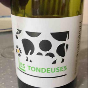 Les Tondeuses 21 - Domaine Mamaruta - Marc Castan