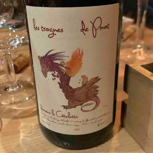 Les Trognes De Pinot - Domaine de la Côtelette - Sandra et Benoît Kilian