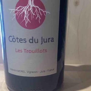 Les Trouillots - Les Pieds Sur Terre - Valentin Morel -2021