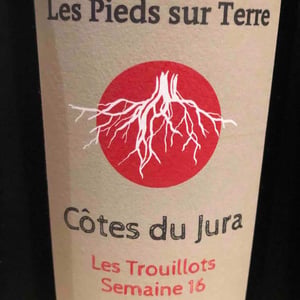 Les Trouillots Semaine 16 - Les Pieds Sur Terre - Valentin Morel 