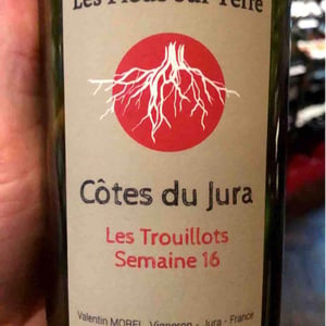Les Trouillots Semaine 16 - Les Pieds Sur Terre - valentin-morel