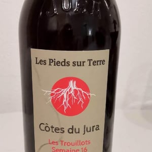 Les Trouillots Semaine 16 - Les Pieds Sur Terre - Valentin Morel 
