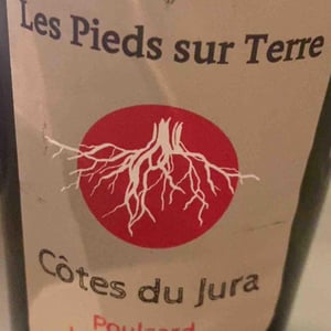 Les Trouillots - Les Pieds Sur Terre - Valentin Morel -2021