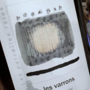 Les Parcelles Rares - Les Varrons Chardonnay - Domaine Labet - Julien, Charline & Romain Labet 