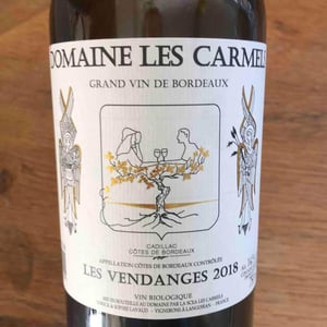 Les Vendanges - Domaine Les Carmels - Yorick & Sophie Lavaud 