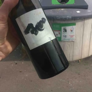 Les Vieilles - Domaine de l'Escarpolette - Ivo Ferreira 